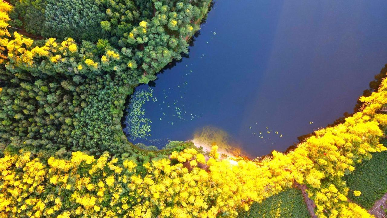 Over The River - Widok Na Rzeke, Przy Parku, Parking, Winda, Netflix I Max, Centrum Ilawa Luaran gambar